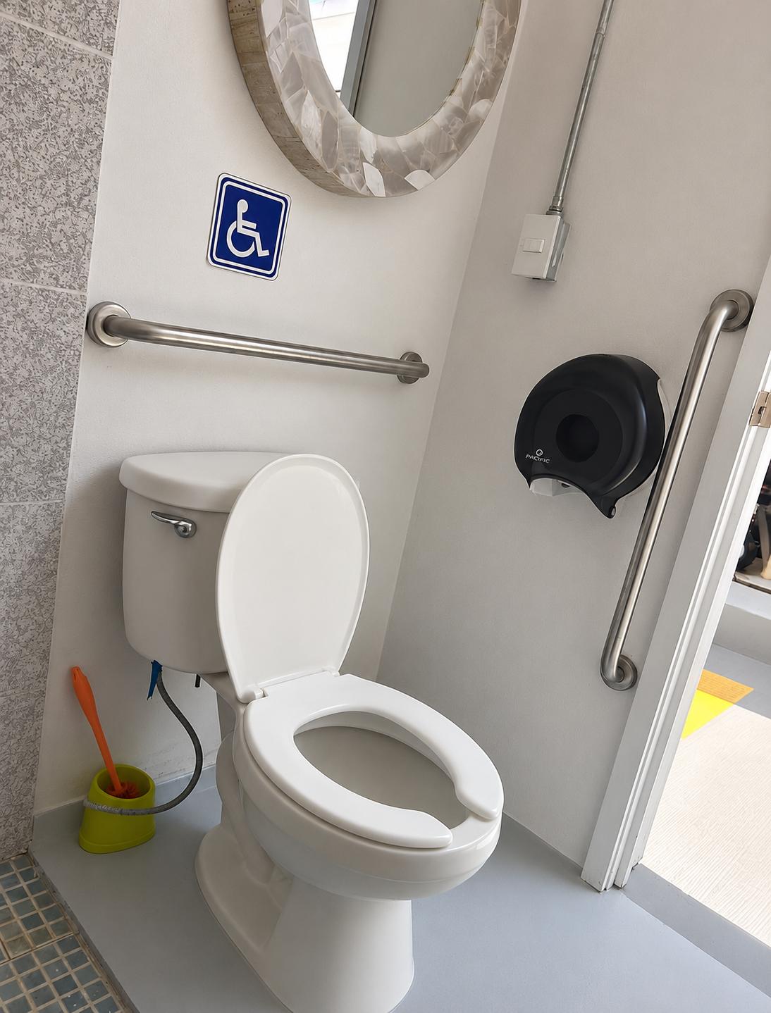 Interior de baño con barras de apoyo